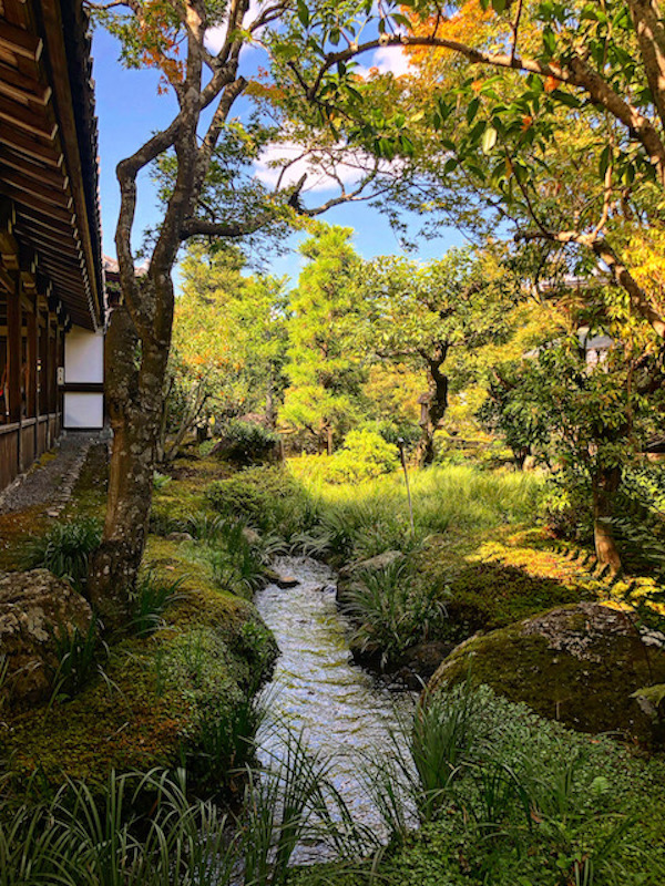 Japan-travel-Kyoto-Atelier-Cinnamon-nature-2