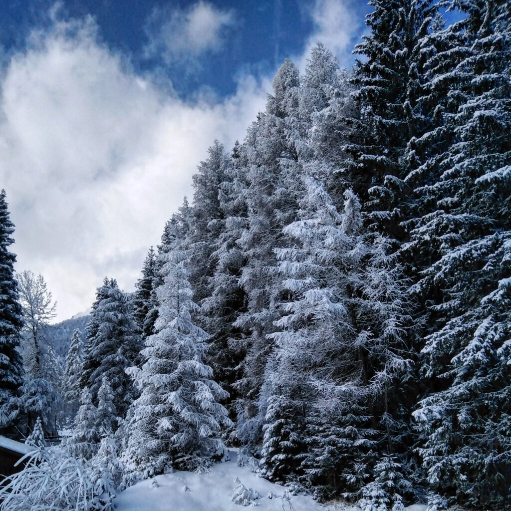 Discover- Dobbiaco-Dolomites-cross-country-skiing