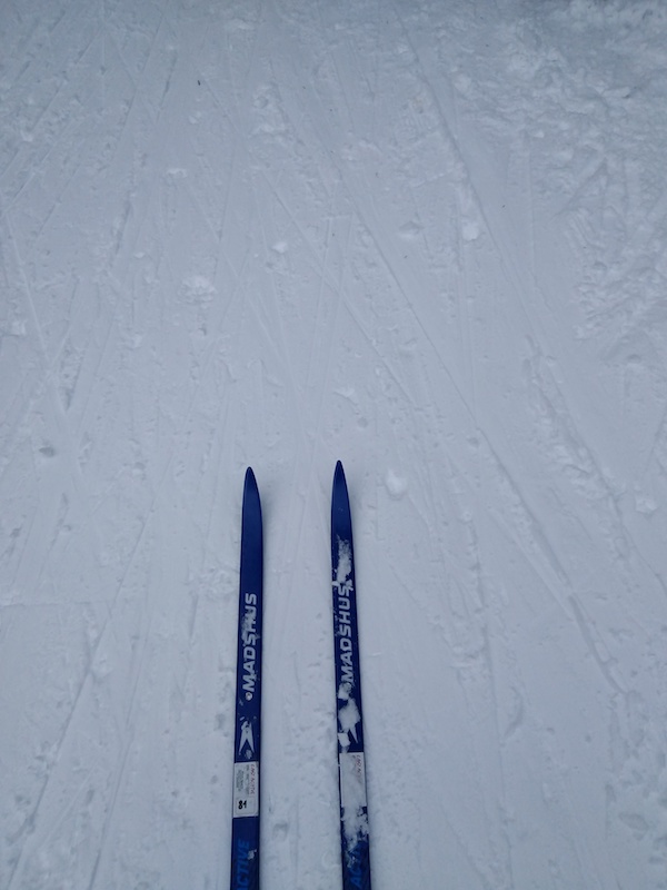 Dobbiaco-Italy-Dolomites-cross-country-skiing-Atelier-Cinnamon