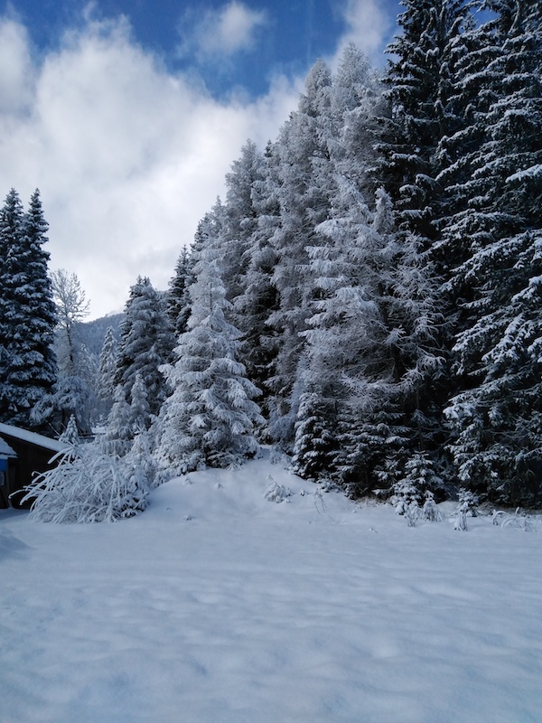 Dobbiaco-Italy-Dolomites-forest-snow-Atelier-Cinnamon