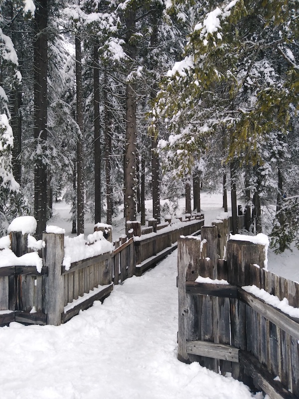 Dobbiaco-Italy-Dolomites-panoramic-point-snow-Atelier-Cinnamon