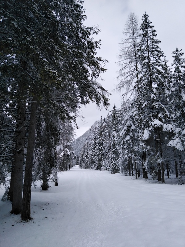 Dobbiaco-Italy-Dolomites-snow-trails-Atelier-Cinnamon