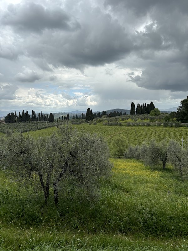 Atelier-Cinnamon-San-casciano-tuscany-1